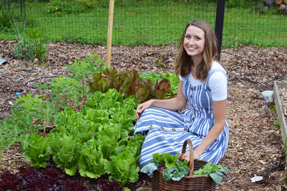  Second Planting of Lettuce April 2019 