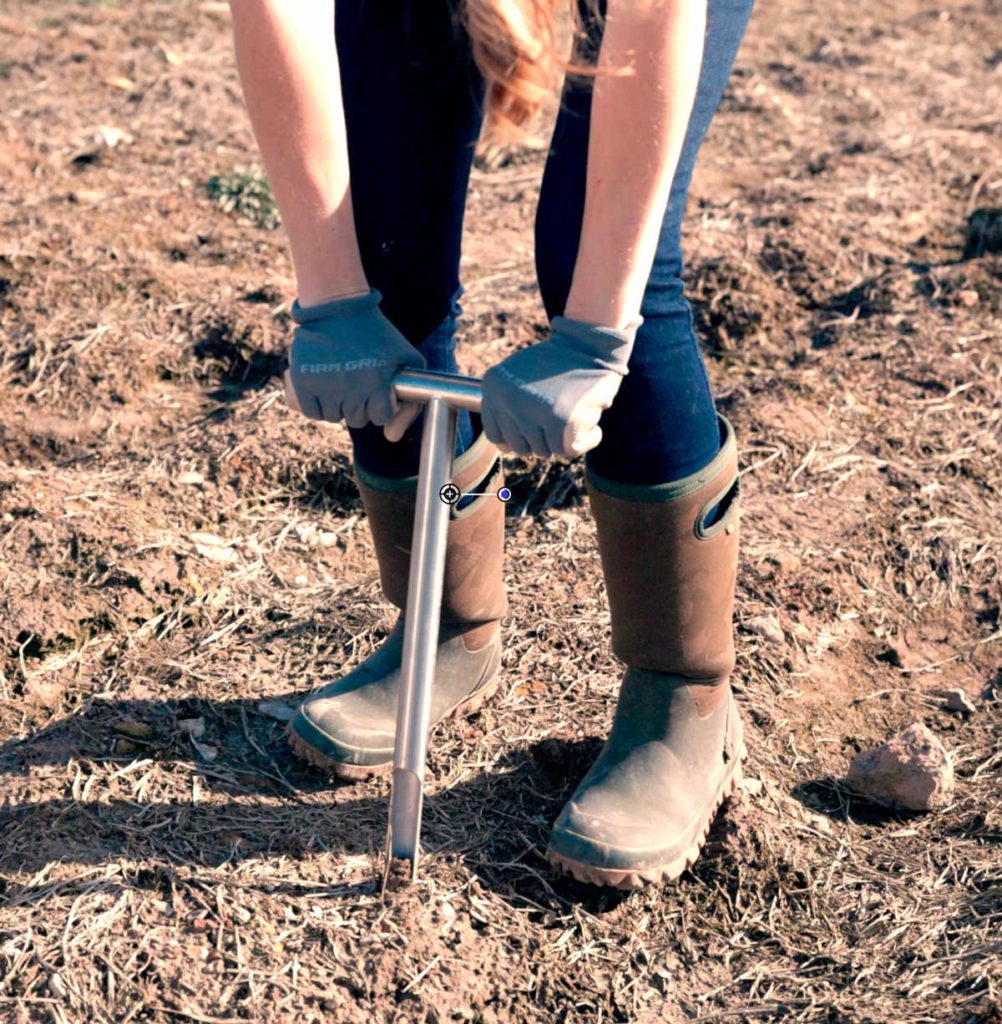 Soil Probe Sample