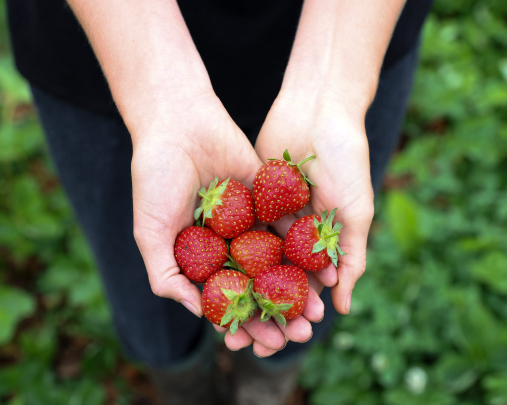 growing food