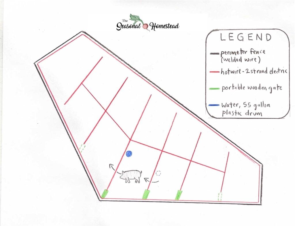 How we raise pigs on pasture pig diagram