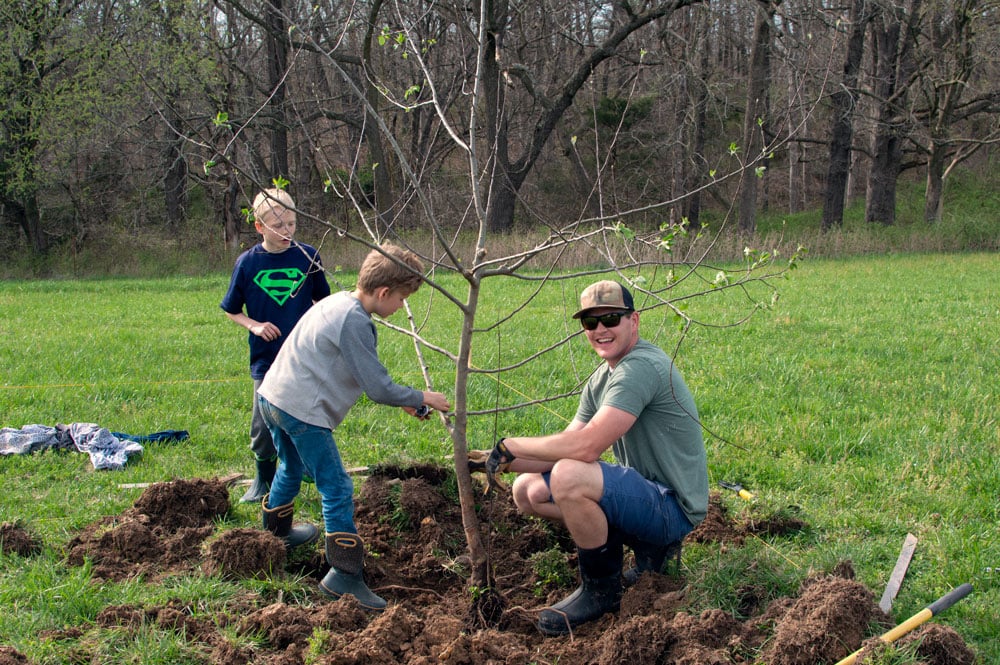 grow fruit trees