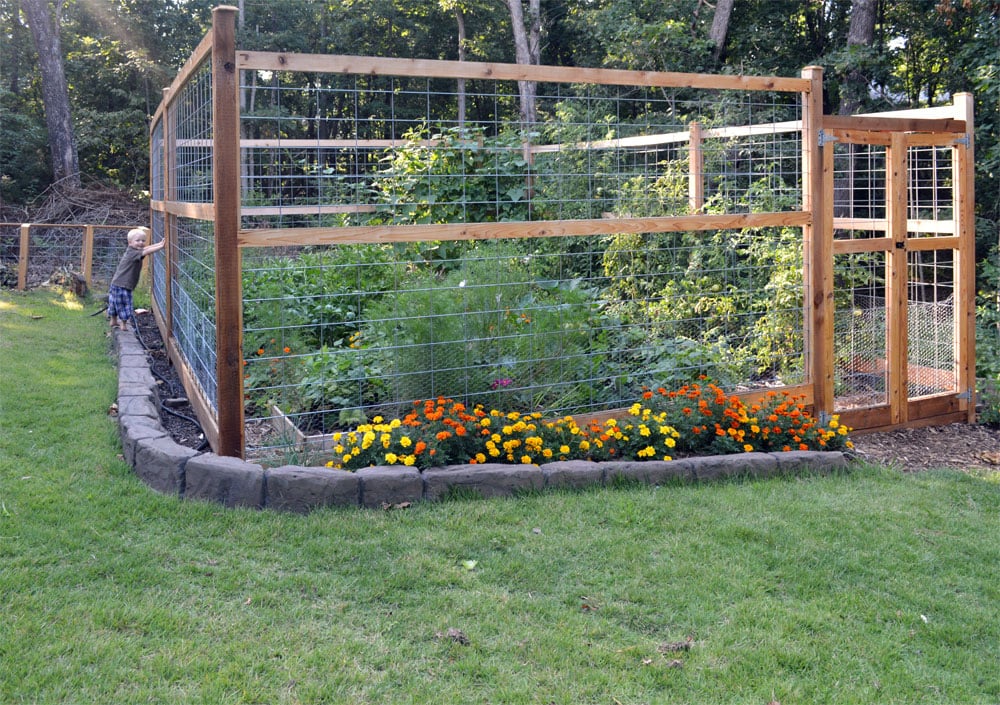 Small backyard garden