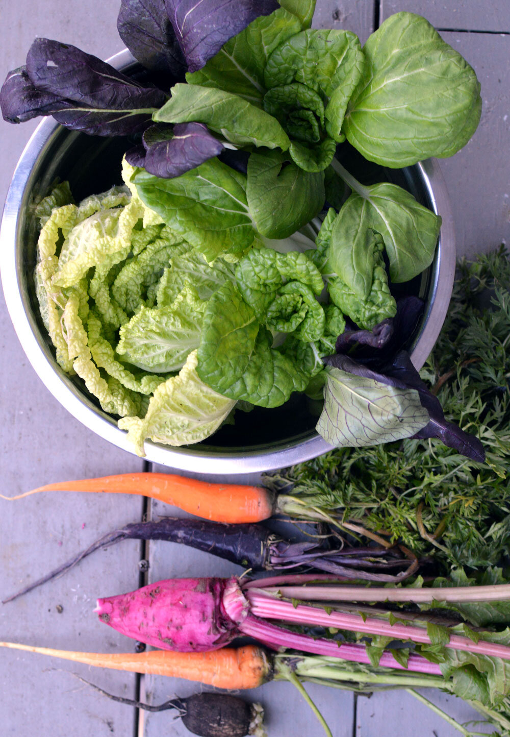  All these were harvested after the cold snap! 