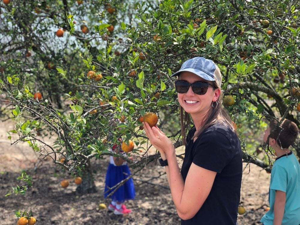 local you pick oranges