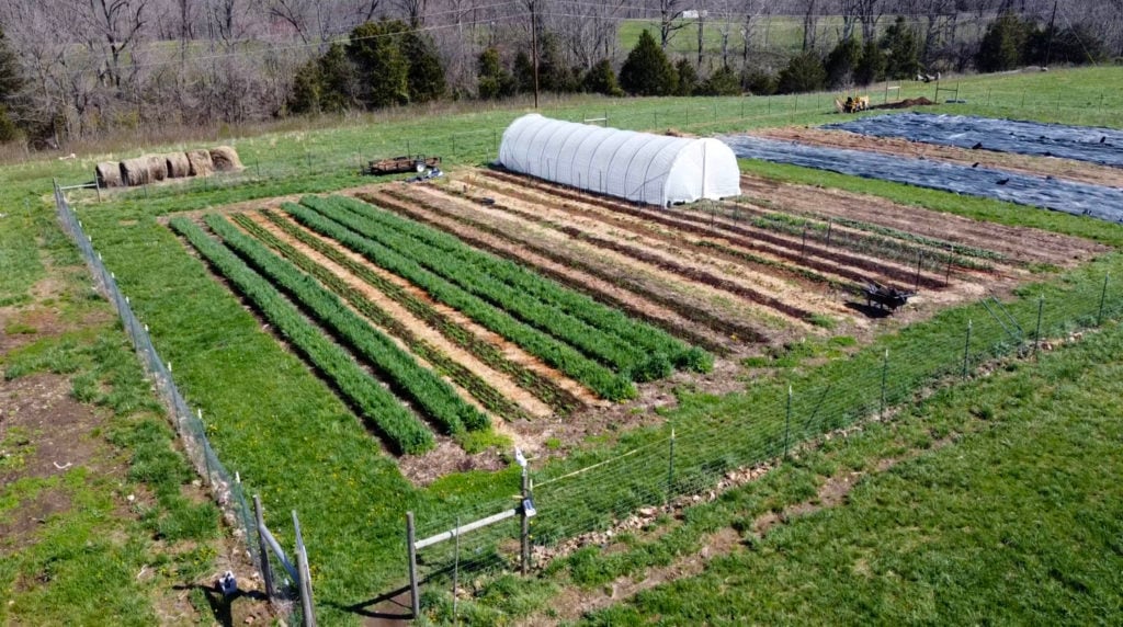 Best Place for a Vegetable Garden