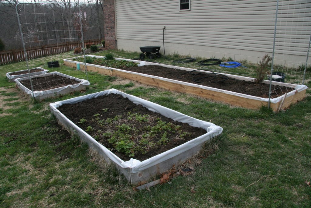 raised bed weed problems