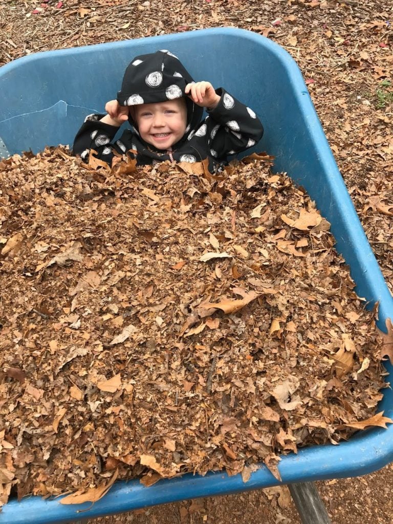 organic mulch for a vegetable garden Leaf Mulch