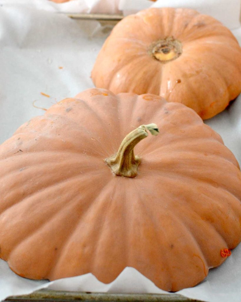 roasted pumpkins