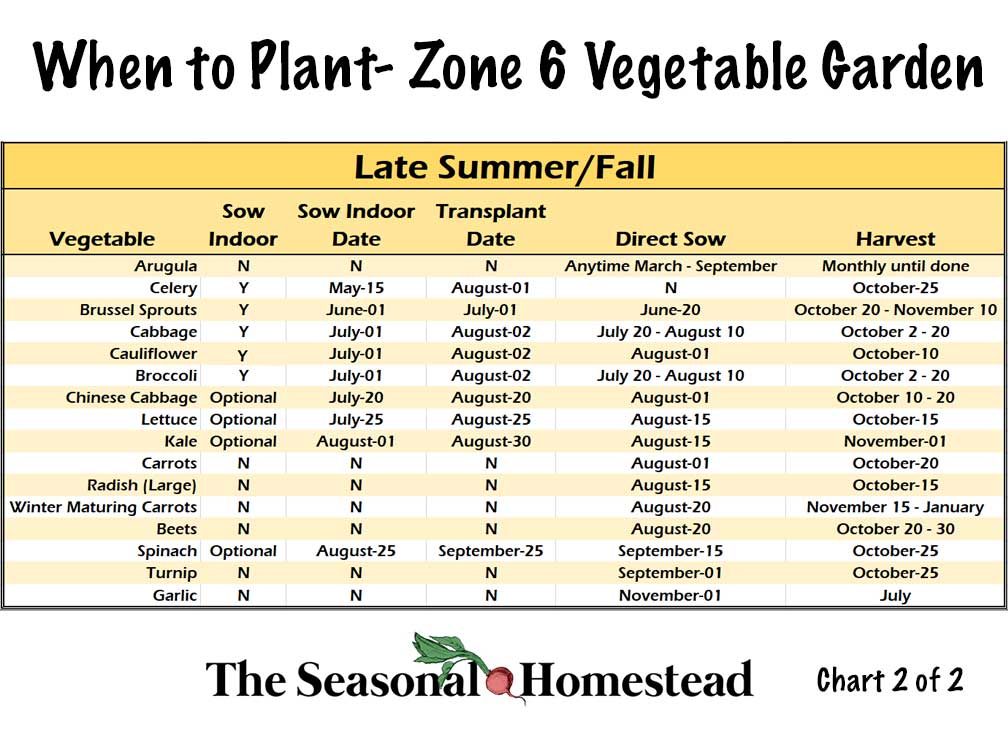 When to plant vegetables in Zone 6 for Fall gardening